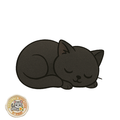 Gatto Nero Dorme