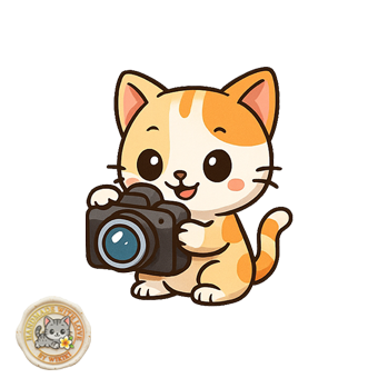 Gatto Fotografo
