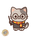 Gatto Magico Grigio