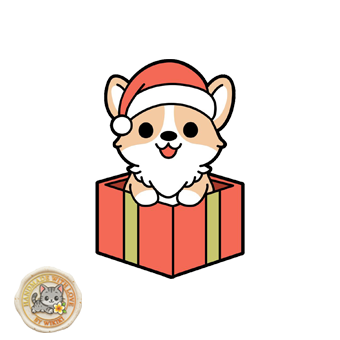 Pacco Regalo