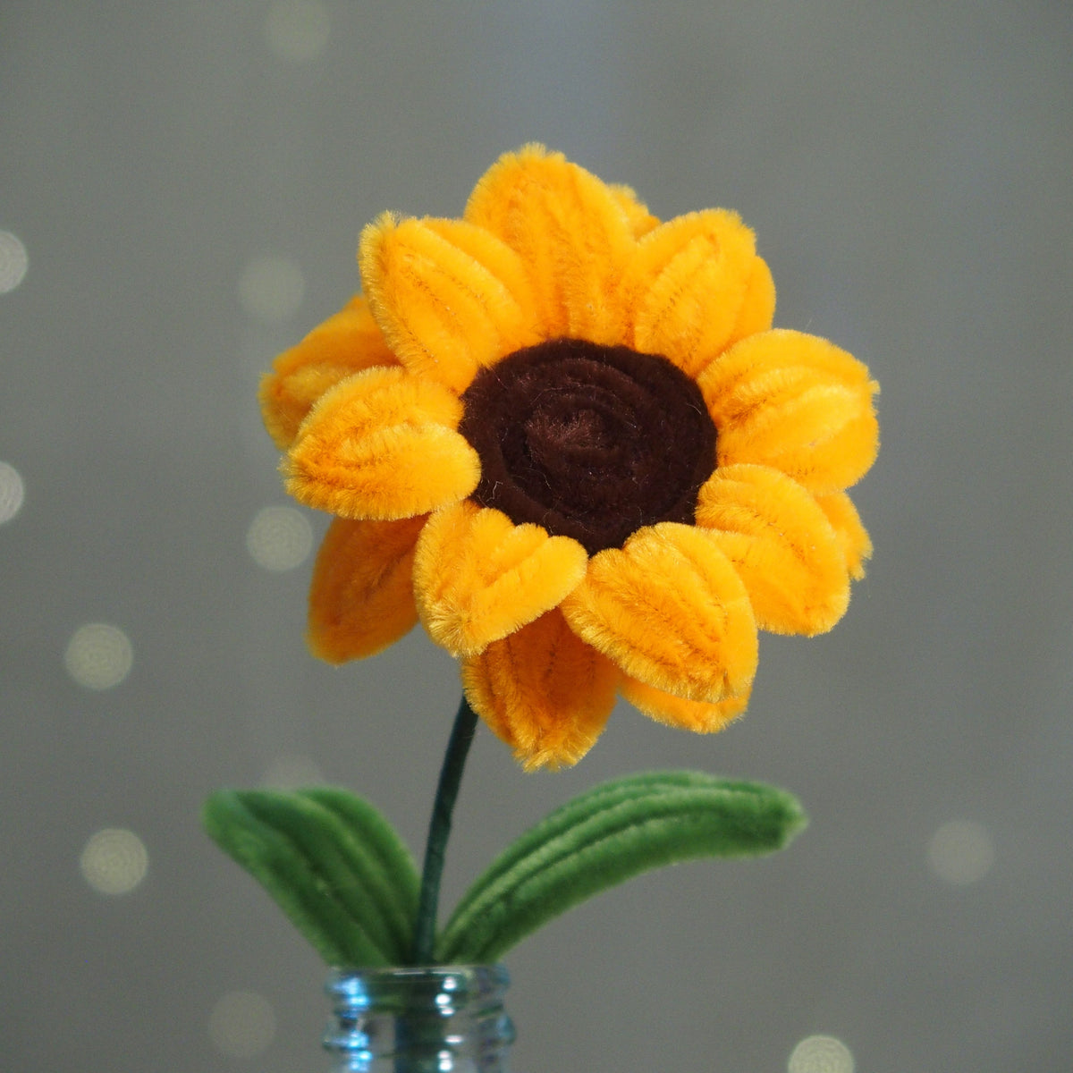 Girasole