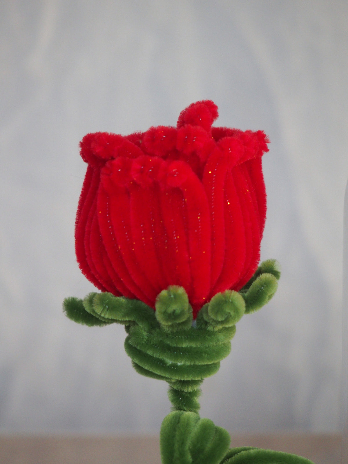 Rosa Incantata