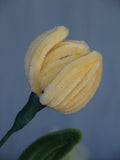 Tulipano Piccolo