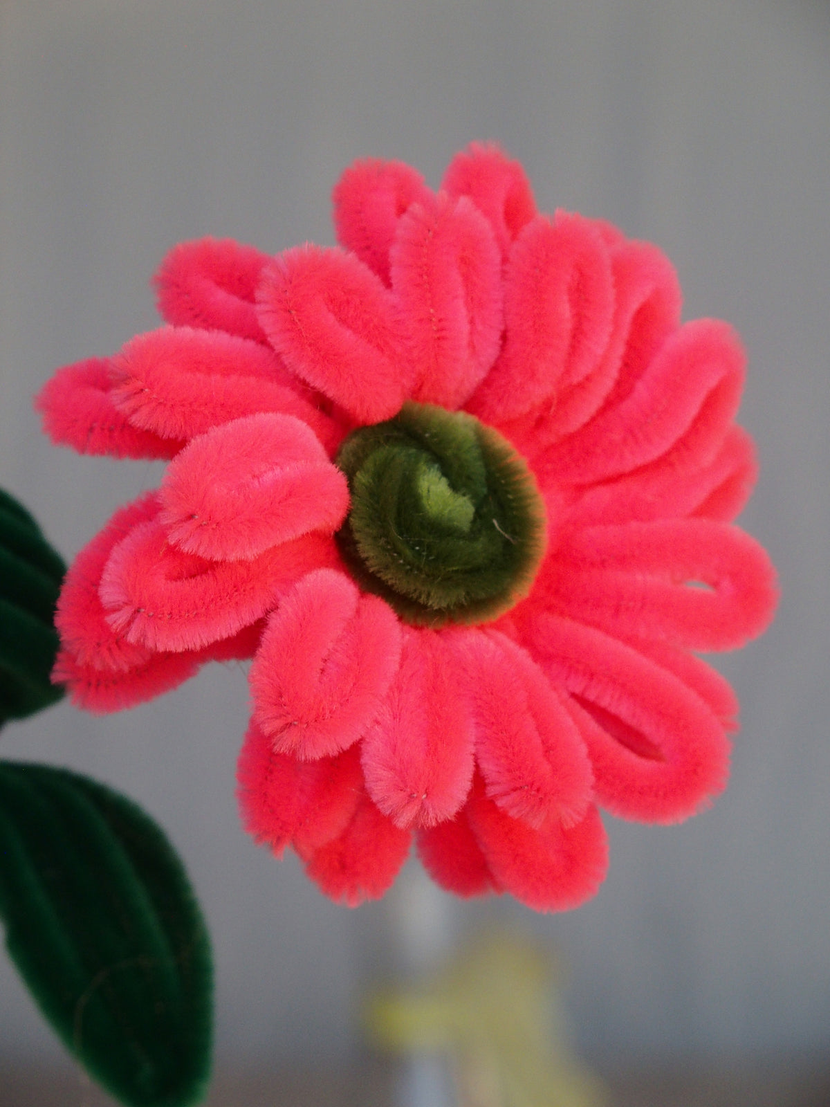 Fiore Base