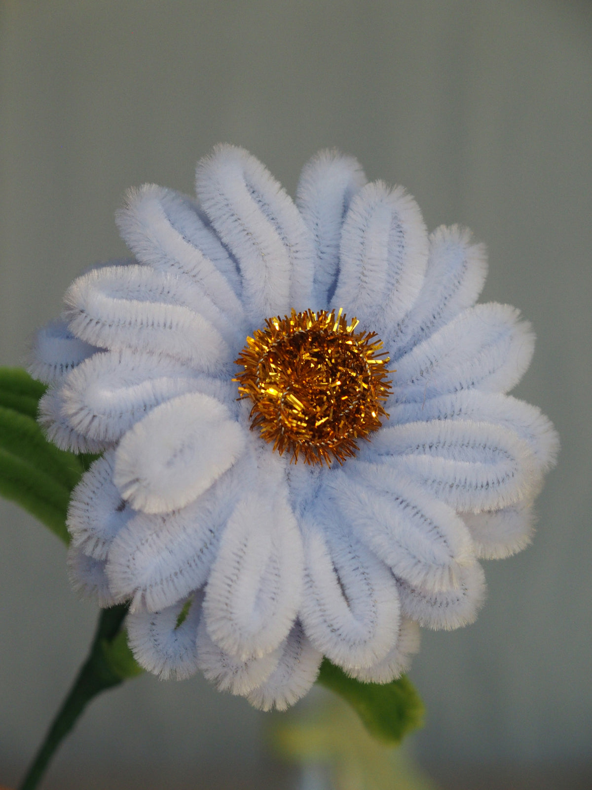 Fiore Base