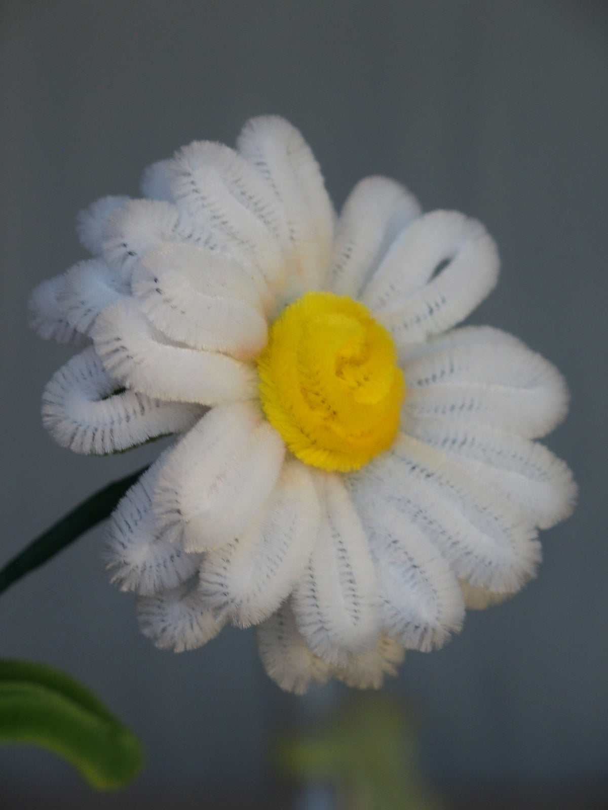 Fiore Base