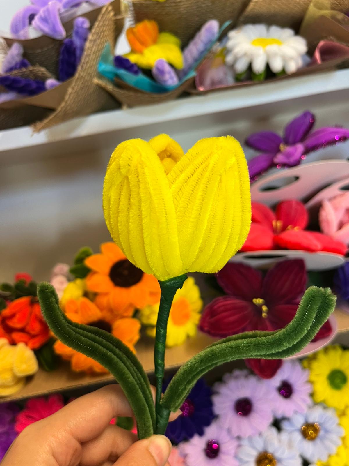Tulipano Grande