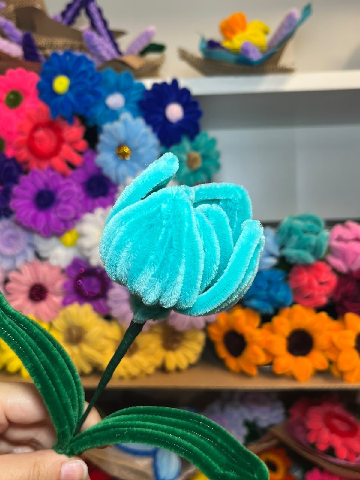 Tulipano Grande