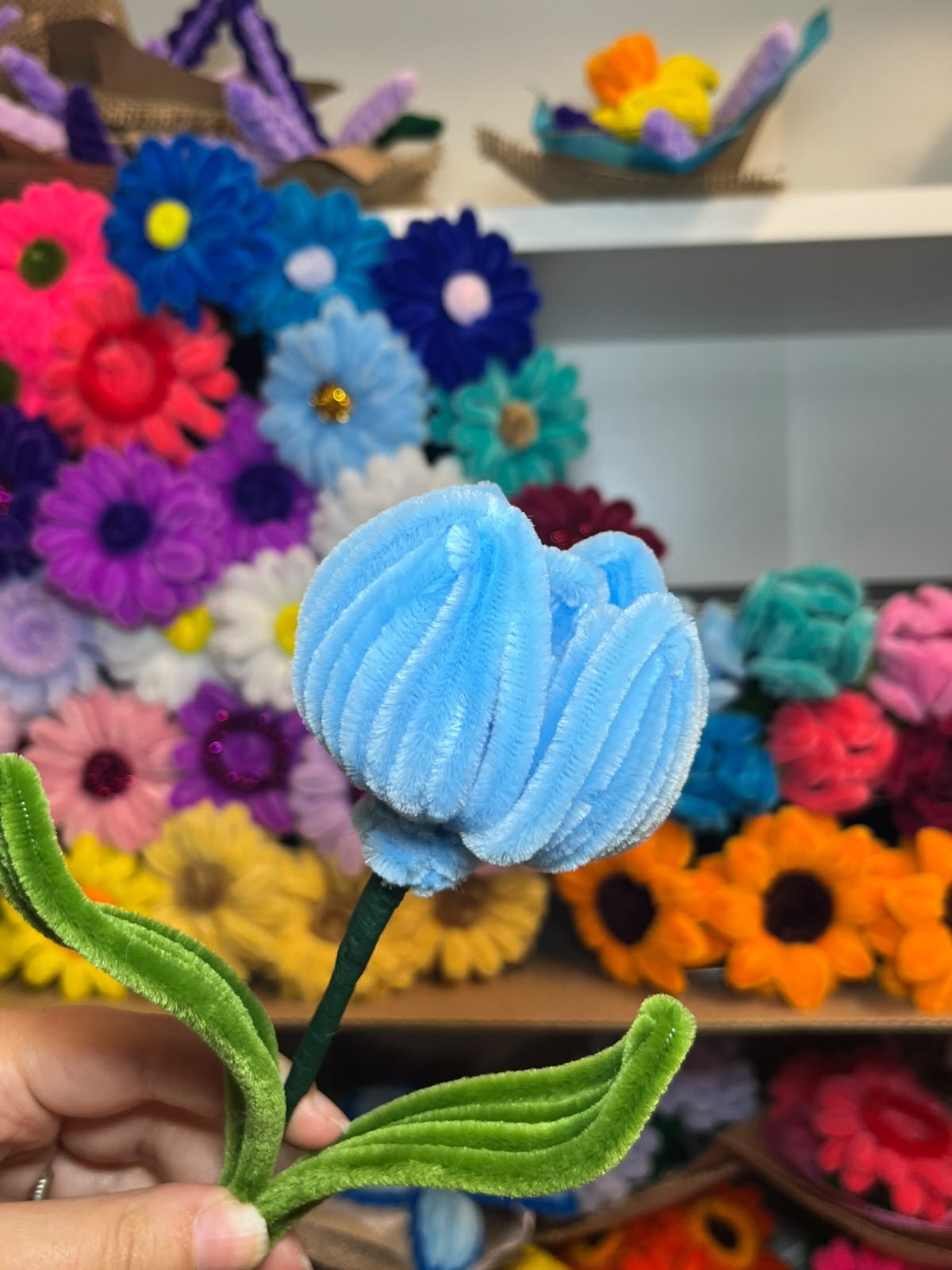 Tulipano Grande