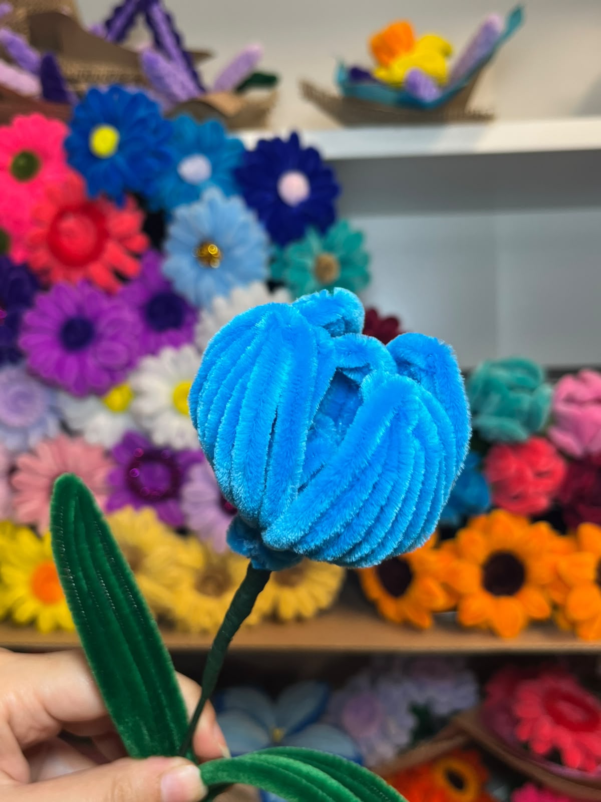 Tulipano Grande
