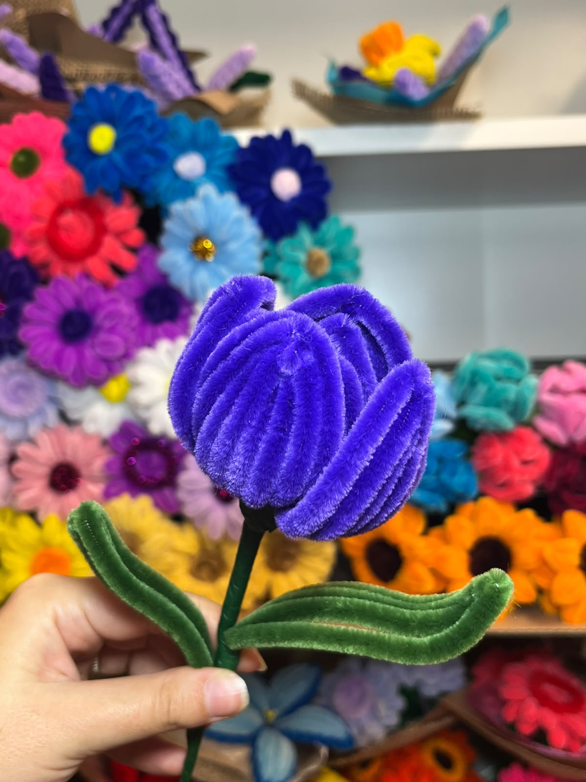 Tulipano Grande
