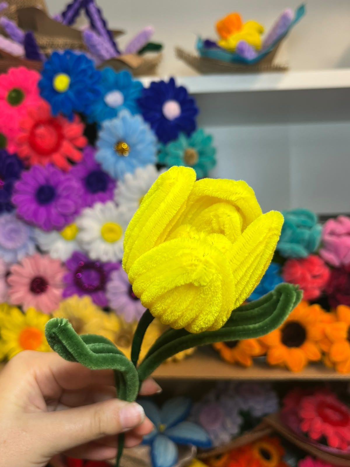 Tulipano Grande