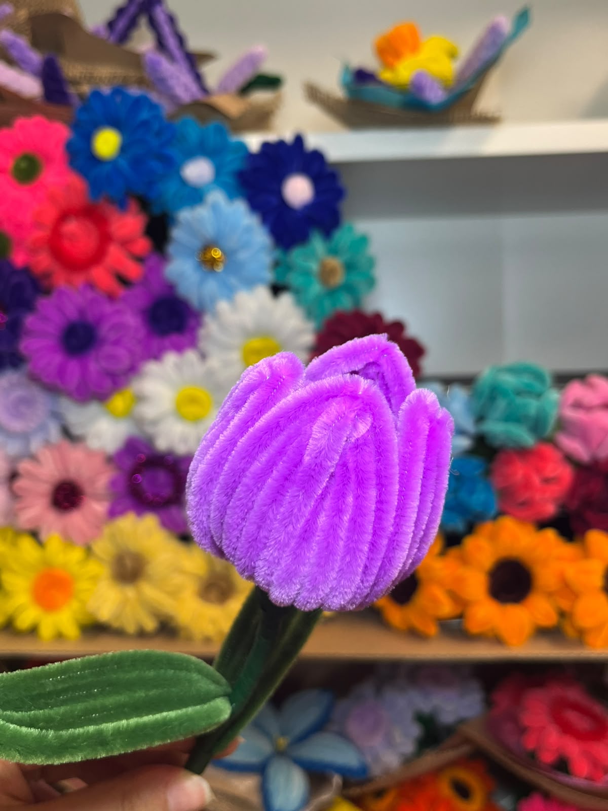 Tulipano Grande