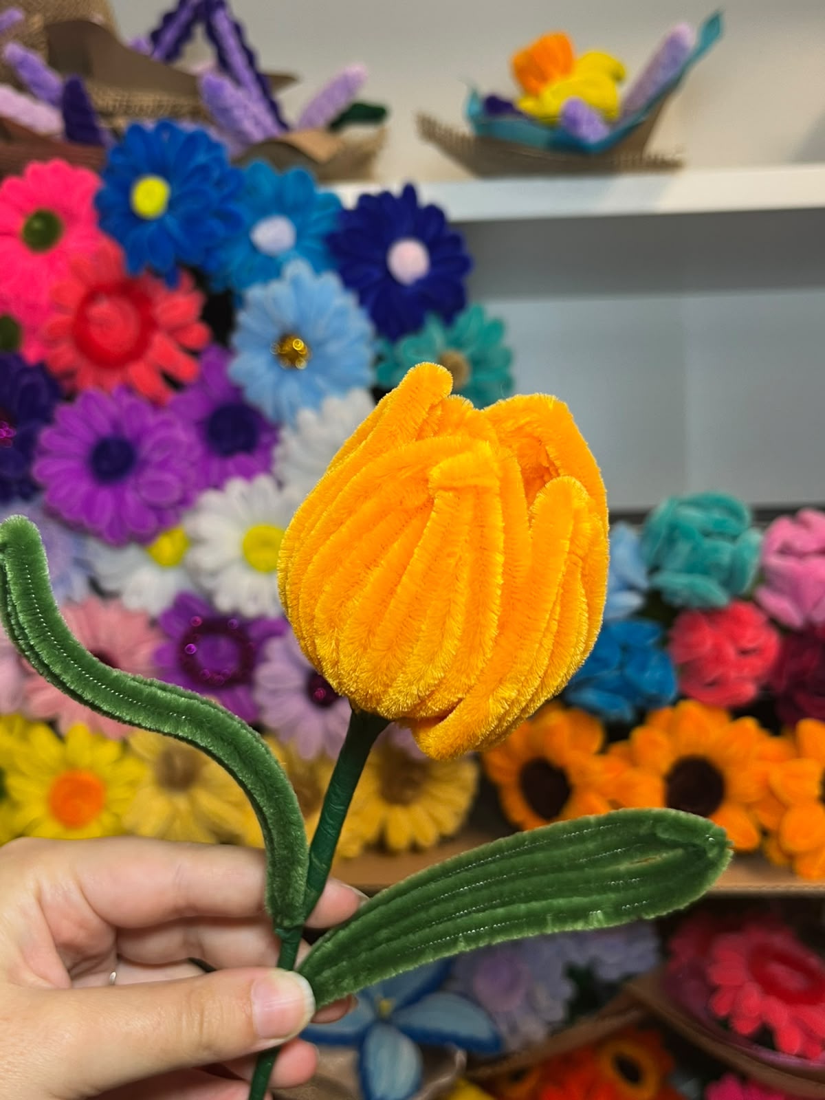 Tulipano Grande