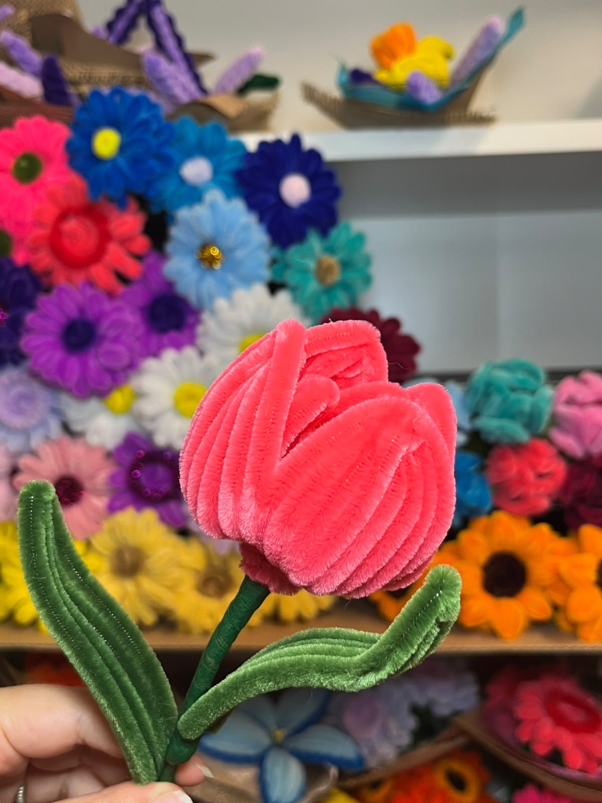 Tulipano Grande