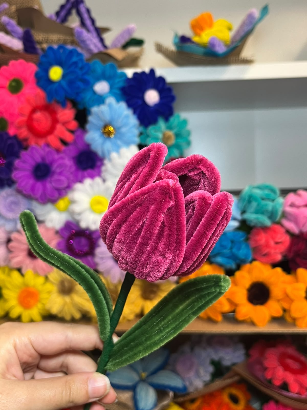 Tulipano Grande