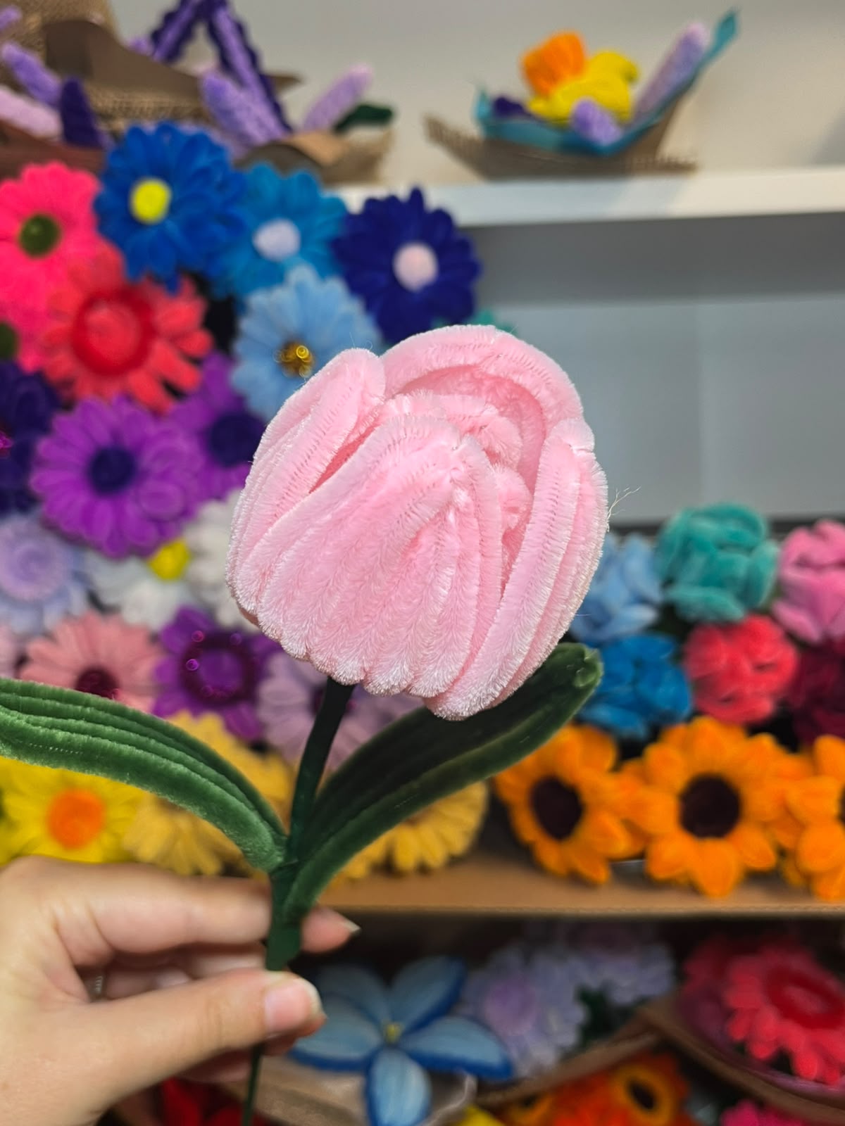 Tulipano Grande